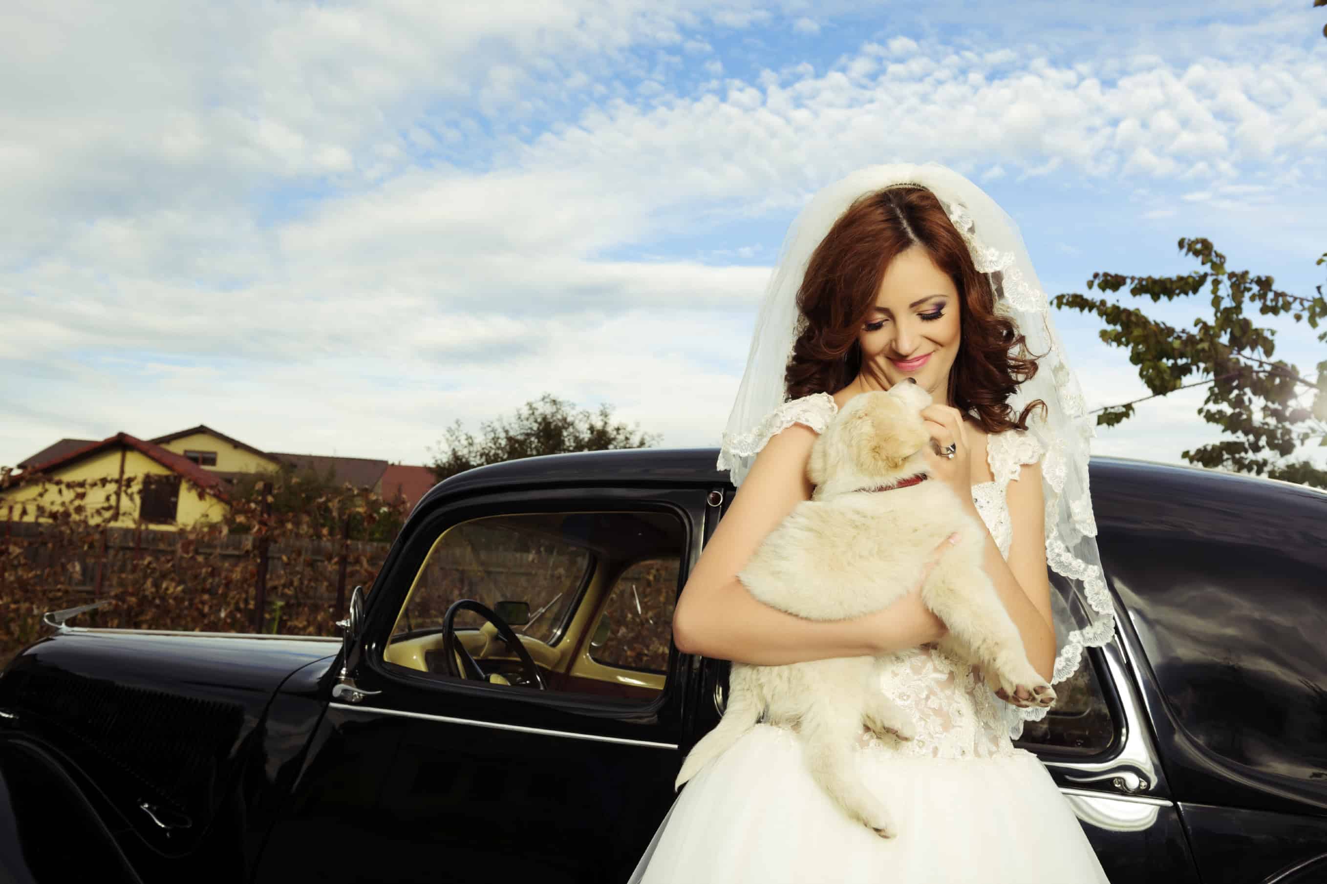 The Big Day: How To Incorporate Your Pet In Your Wedding