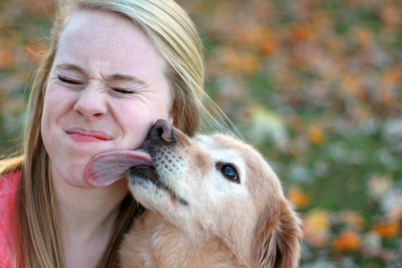 Rocklin, CA Veterinary Blog | Why Do Dogs Like to Lick?