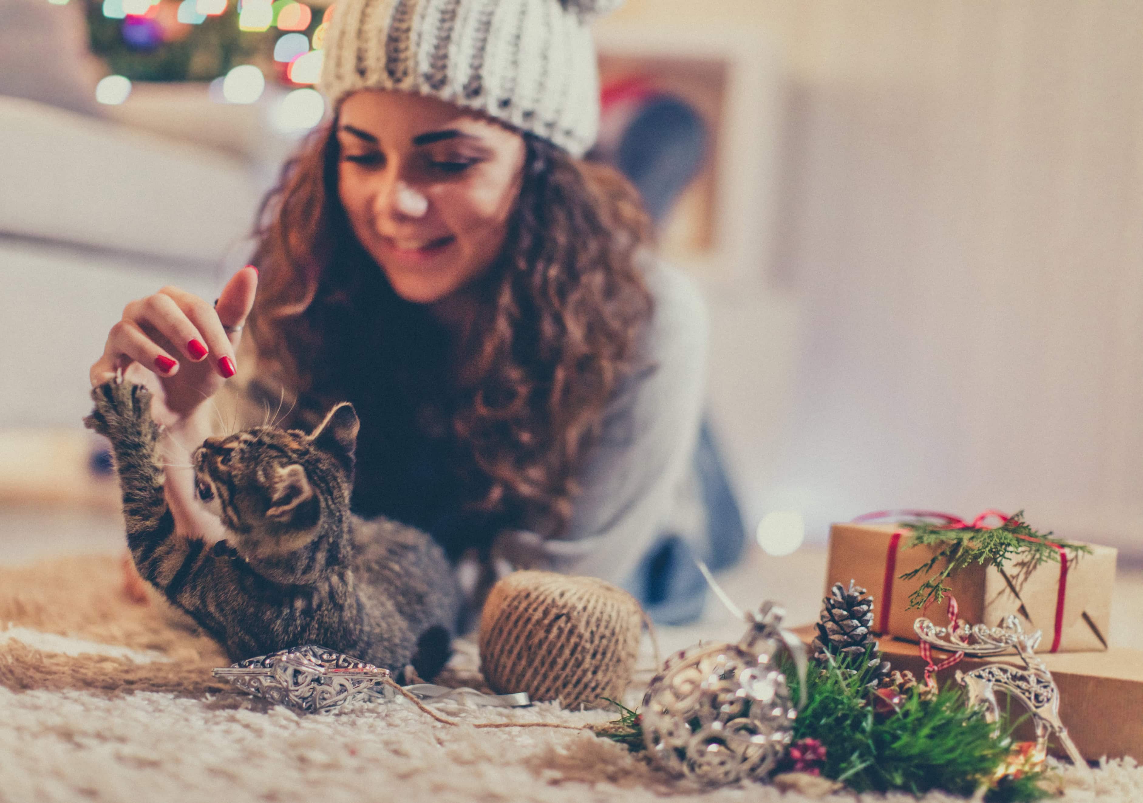 ‘Tis the Season: Your Guide to the Best Pet Gifts of 2016