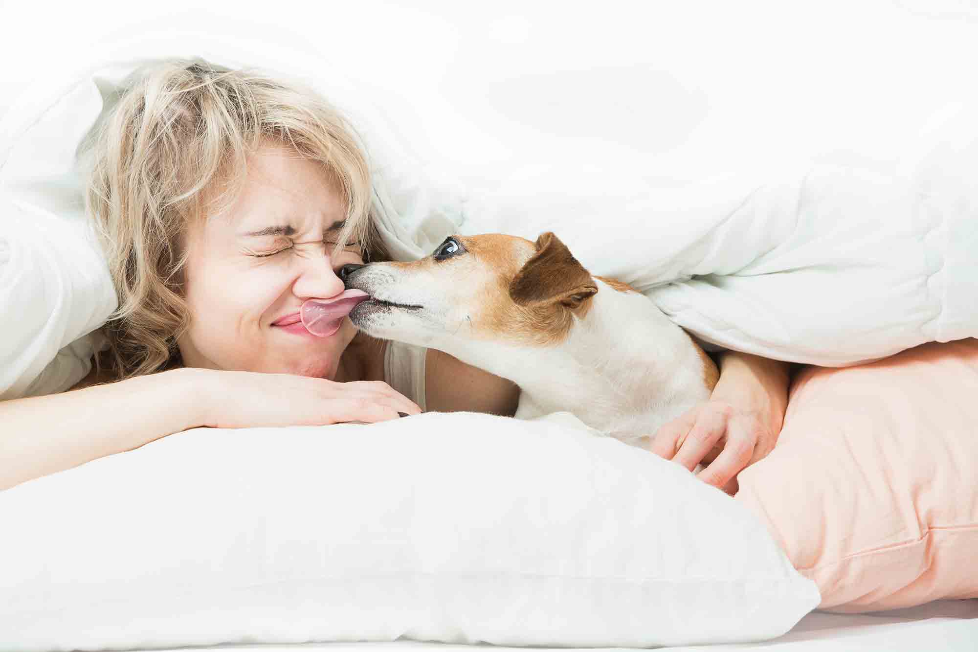 Are Pet Kisses Safe? To Smooch or Not to Smooch