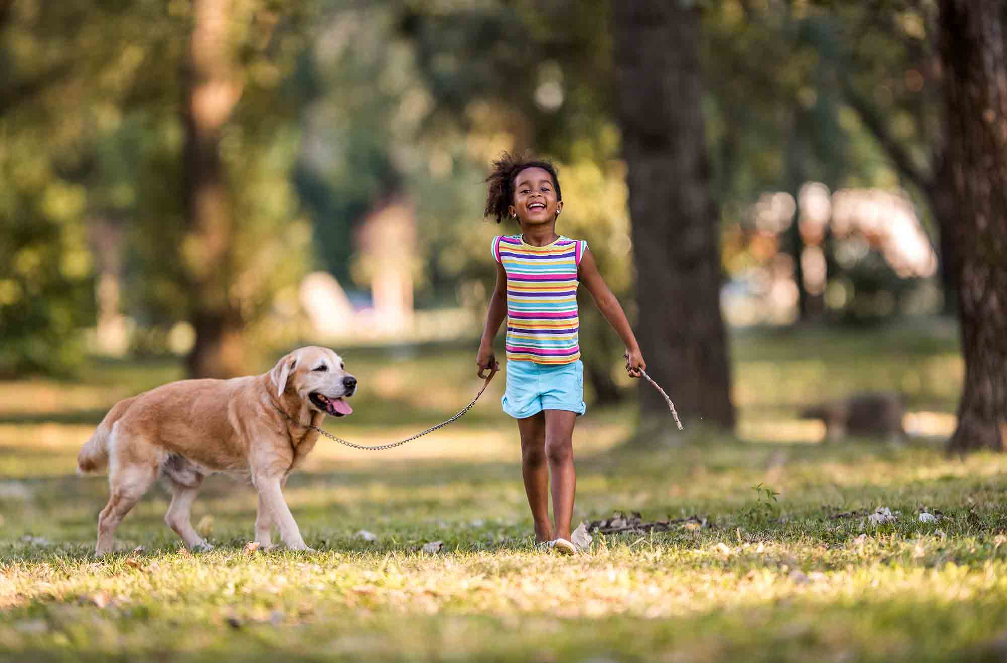 Making Daily Exercise More Fun for Your Pet (and for You!)