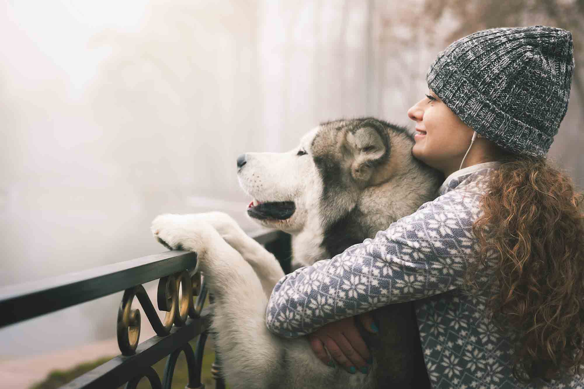 In With the New: New Year’s Resolutions for Pets