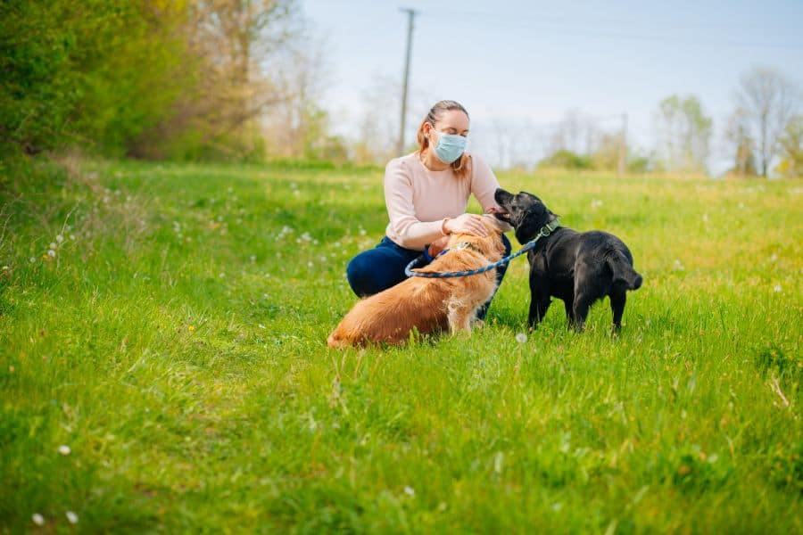 Deciphering Adult Dog and Puppy Interactions