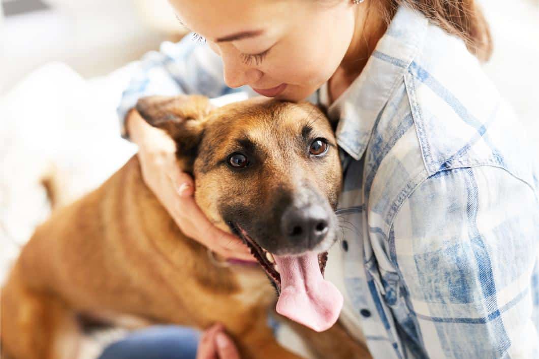 A Home Filled with Love: The Joys of Adopting a Pet