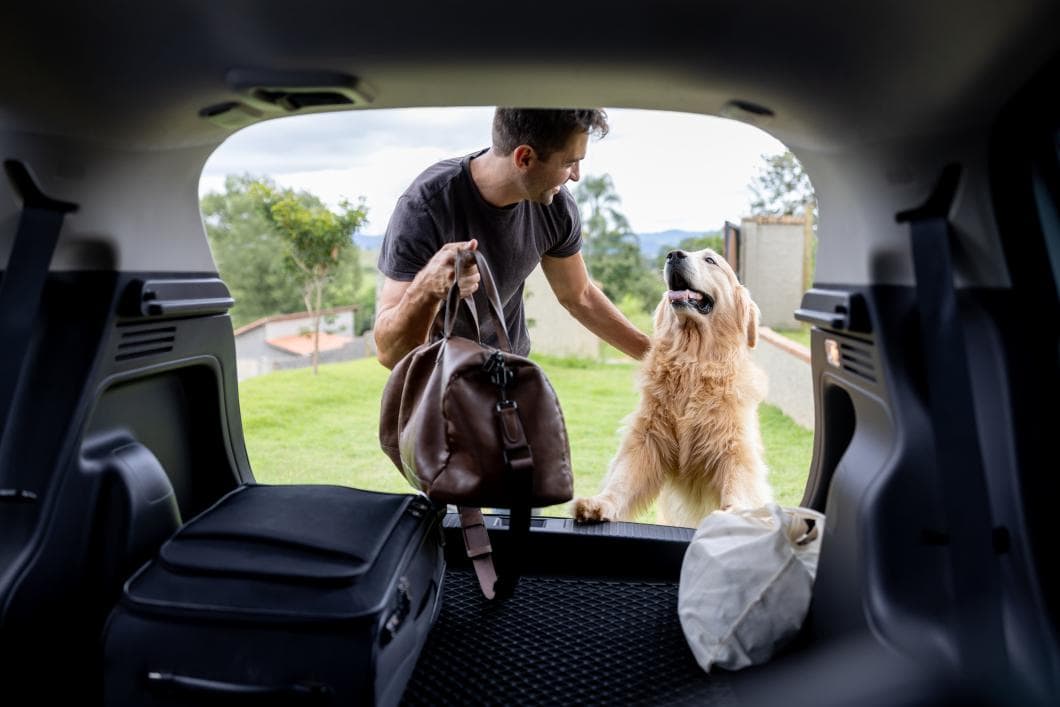 Holiday Travel with Pets