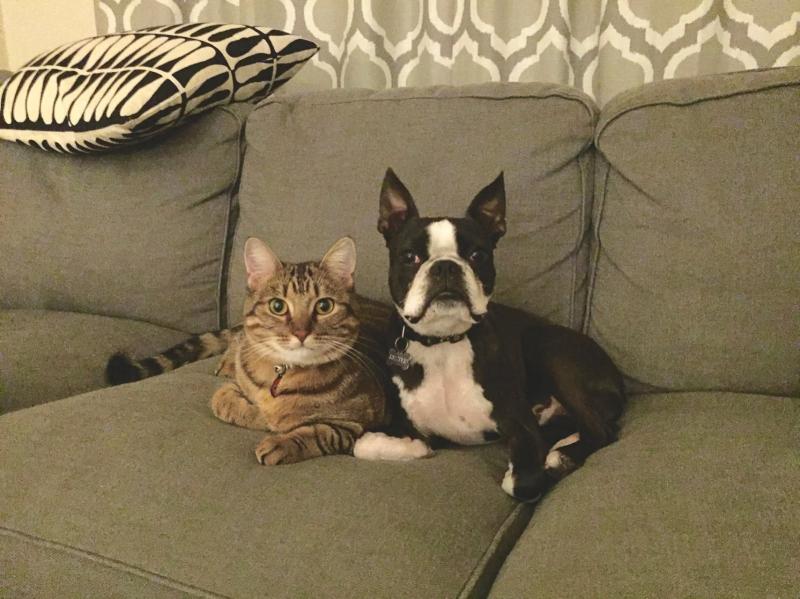 Kim Padilla Kim Padilla